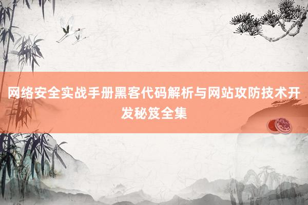 网络安全实战手册黑客代码解析与网站攻防技术开发秘笈全集