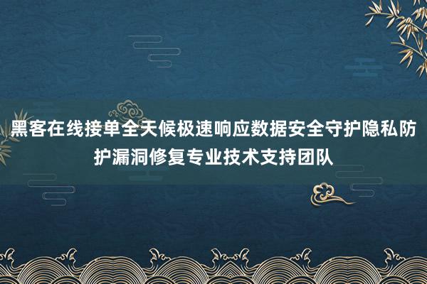 黑客在线接单全天候极速响应数据安全守护隐私防护漏洞修复专业技术支持团队